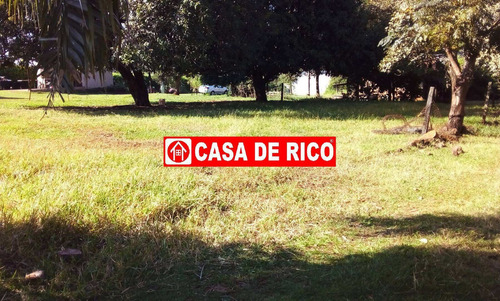 Imagem 1 de 6 de Chácara A Venda Em Londrina - 687