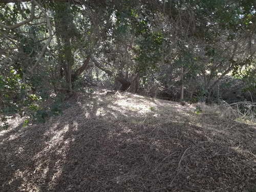 Cajon De Lebu - Se Vende Linda Parcela De 5000 M2