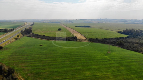 Excelente Fazenda Para Venda Em Itapetininga-sp, Com 244 Alqueires, Formada Em Cana, Frente Para Rodovia Castelo Branco, Rica Em Agua, Rio Nos Fundos - Fa00084 - 69245340