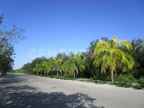 Lote Comercial En Paseo Del Mayab Playa Del Carmen C2380