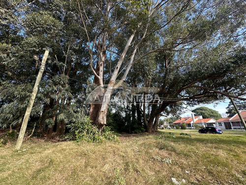 Excelente Oportunidad De Terreno En Venta, Ubicado En Atlántida A 3 Cuadras Del Centro. Inm Atlántida