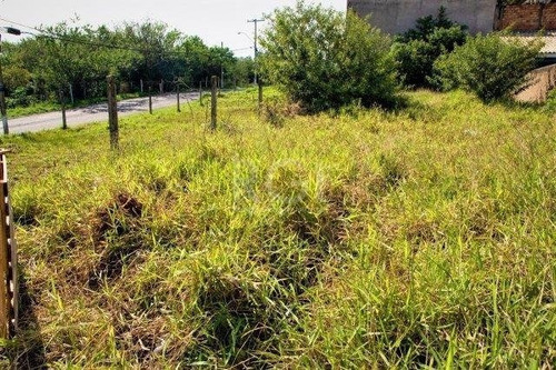 Imagem 8 de 11 de Terreno - Jardim Leopoldina - Ref: 590803 - V-ca5192
