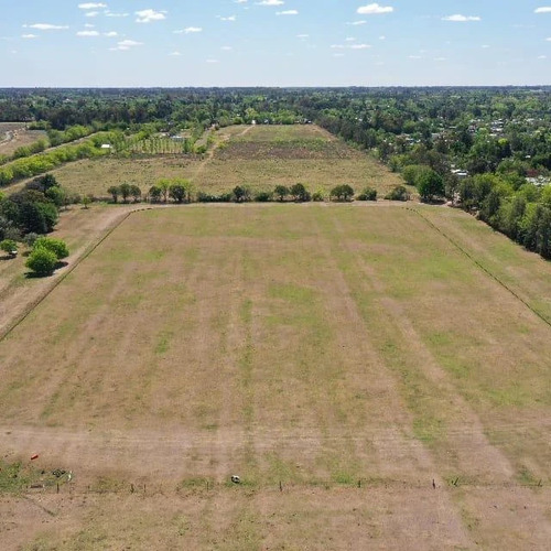 Campo De 10 Has En Venta, Manzanares.