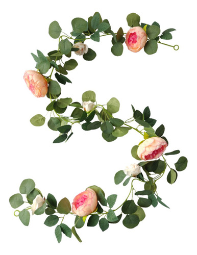 Flores De Peonía, Enredaderas Colgantes, Enredaderas, Flor