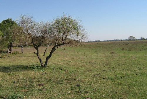 Campo 30 Hectareas - Miramar - Paraje Santa Irene