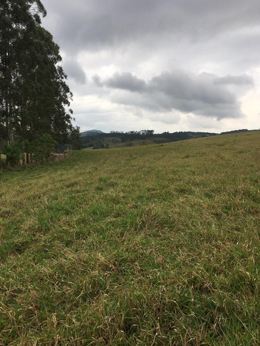 Imagem 2 de 14 de C22-lançamento Com Vista Para Represa De Palmeiras