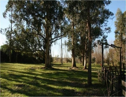 Quinta En Venta En Jose Ignacio