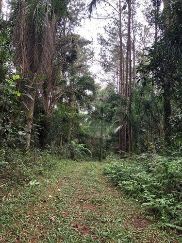 Imagem 10 de 30 de Terreno À Venda, 30000 M² Por R$ 3.698.000,00 - Cipó Do Meio - São Paulo/sp - Te0059