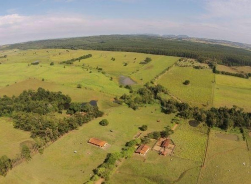 Imagem 6 de 22 de Fazenda 80 Alqueires, Rica Em Água Com Riacho, Aproveitamento De 85% Para Plantio, Estruturada Para Pecuária, Casa Sede E Funcionarios, Curral, Galpão - Fa00248 - 70737151