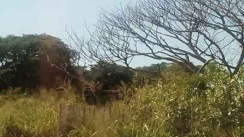 Imagen 8 de 8 de Terreno En Prolongación Av. Aragua En La Morita 1 En Maracay