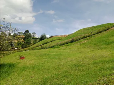 Lote y casalote en venta