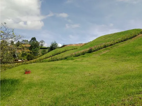 Hermosos Lotes En Venta Con Excelente Ubicación Y Vista - Carmen Víb.