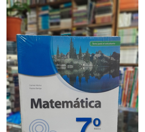 Matematica 7 Basico ...