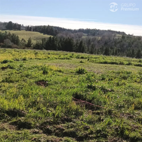En Venta En Carahue 57000m2