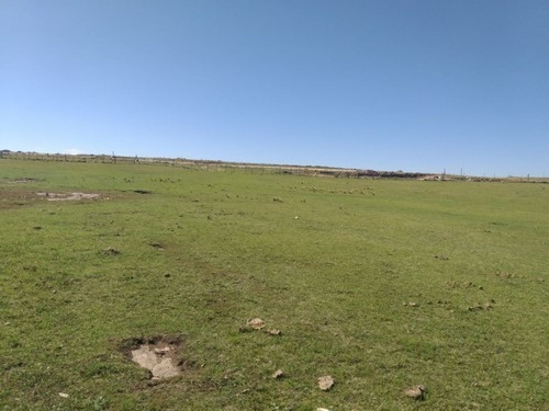 Imagen 3 de 11 de Se Venden 400 Hectareas Ganaderas En Los Gigantes Cordoba