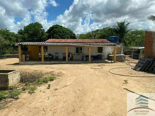 Imagem 4 de 10 de Granja A Venda Em Macaíba