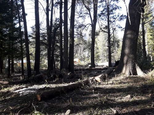 Venta De Lote Arbolado En Villa Traful Patagonia Argentina