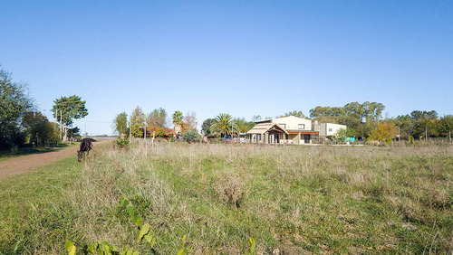 6 Terrenos De 40m X 40m En Villa Loguercio