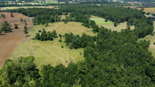 Campo En Venta En Cañitas, Los Muermos, Región De Los Lagos