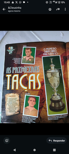 Álbum De Figurinhas Centenário Do Palmeiras (completo) (Usado)