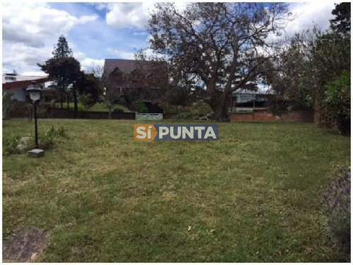 Imagen 13 de 14 de Casa En Playa Mansa - Punta Del Este