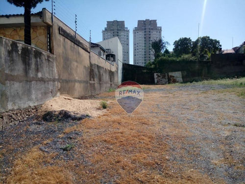 Terreno - Venda - Quilombo - Te0130