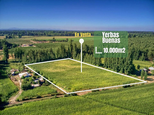 Terreno En Venta En Yerbas Buenas - Excelente