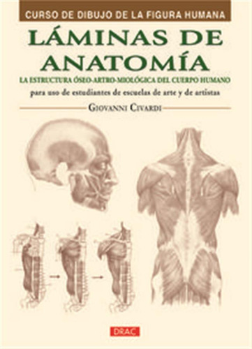 Laminas De Anatomia - Civardi  Giovanni