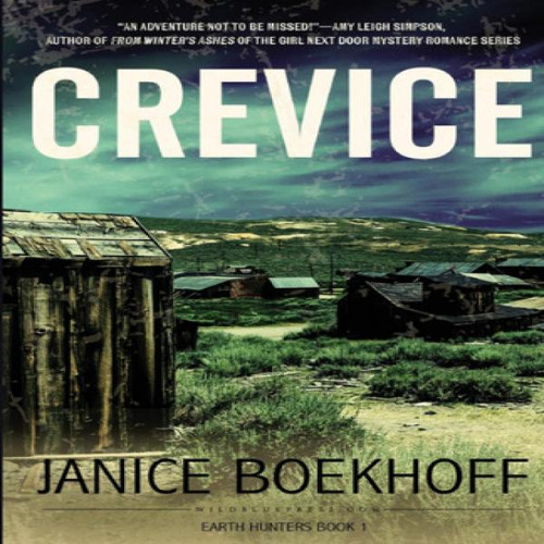 Crevice, De Janice Boekhoff. Editorial Wildblue Press, Tapa Blanda En Inglés, 2016