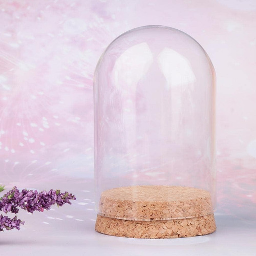 Sm Sunnimix Campana De Vidrio Con Florero De Micro Paisaje P