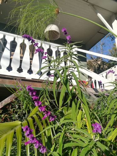 Venta Casa 3 Amb. Delta Tigre Y Negocio Vacacional