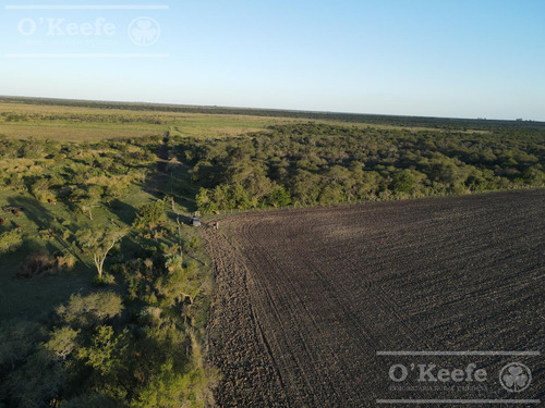 Campo En Venta De 520 Has Mixtas En Entre Rios
