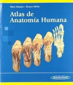 Atlas De Anatomia Humana (rustica) - Nielsen Mark / Miller