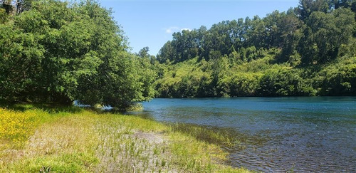 Imagen 6 de 16 de Agrícola En Venta En Lago Ranco