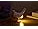 Luz Nocturna Led 3d Gallina Con Usb En Caja Regalo