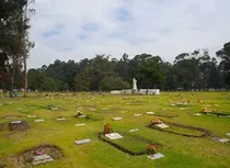 Comprar Lote 304 Seccion: 05 Jardin: Internacional Jardines Del Apogeo