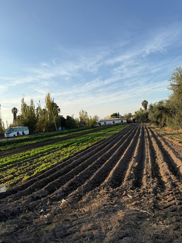 Finca De 6 Has En Venta En Los Corralitos, Gllén