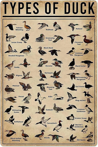 Duck Knowledge Metal Poster Tipo De Pato Impresión De Metal