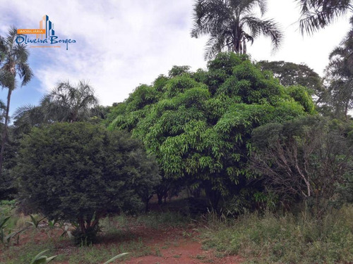 Chácara Com 3 Dormitórios À Venda, 193600 M² Por R$ 1.500.000 - Setor Central - Anápolis/go - Ch0101