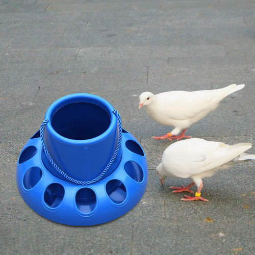 Alimentador De Pollos, Cubo De Alimentación Automático