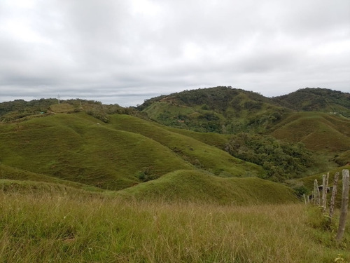 Venta De Lote En Cisneros