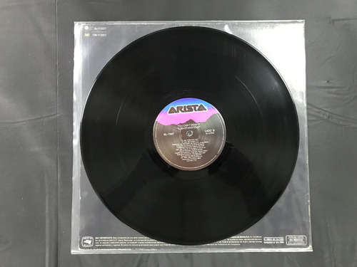 Disco Lp Vinyl Lisa Stansfield (Usado)