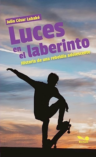 Libro Luces En El Laberinto De Julio Cesar Labake