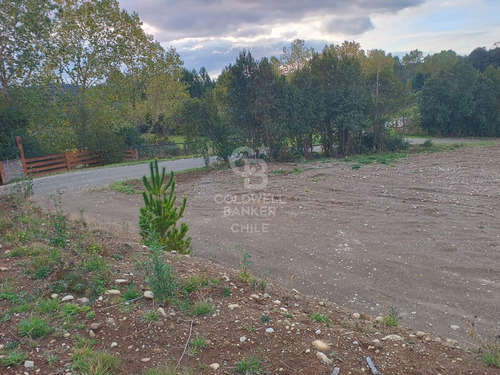 Espectacular Comercial Con Acceso Carretera Y Río
