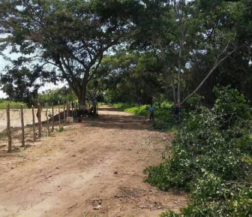 Imagen 2 de 7 de Terreno En Venta Higuerote-sotillo Riv # 11976