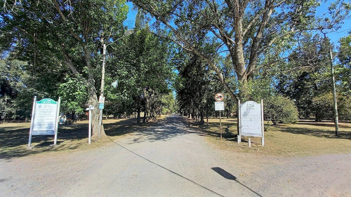 Imagen 24 de 27 de 303 E/50 Y 52 - El Rodeo Quinta C/pileta - Baum Propiedades