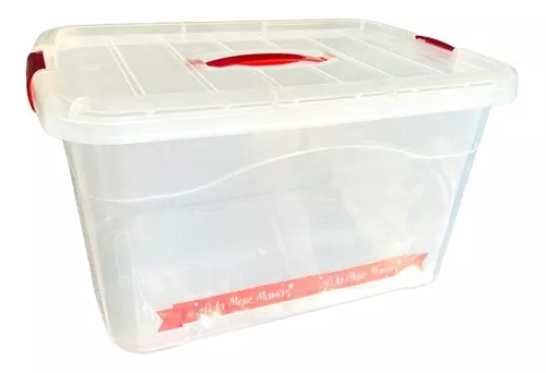 Caja Plástica Organizadora de 10 Litros con Tapa - Plastihogar