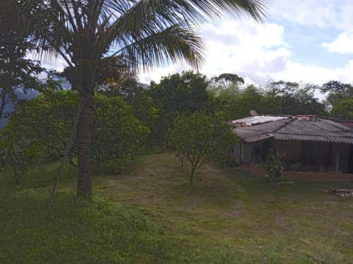 Finca En Vender En Cocorná