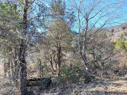 Venta Parcela Panqui (174090)