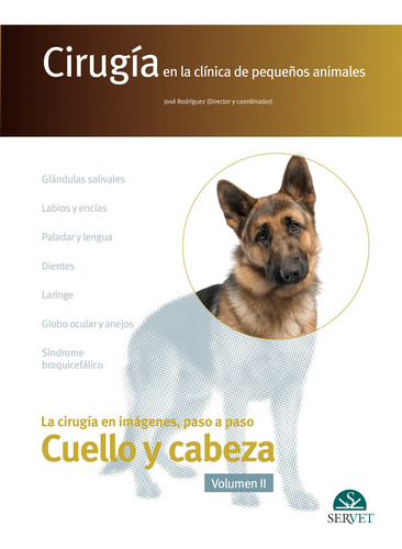 Cirugia En La Clinica De Pequenos Animales. Cabeza Y Cuel